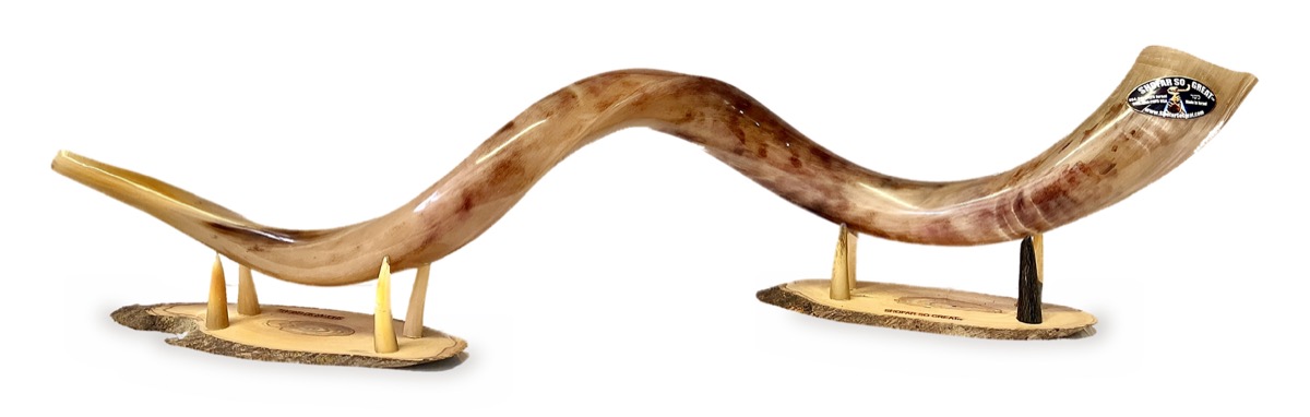 Natural kudu shofar resting on two branded Shofar So Great stands, shown against a white background