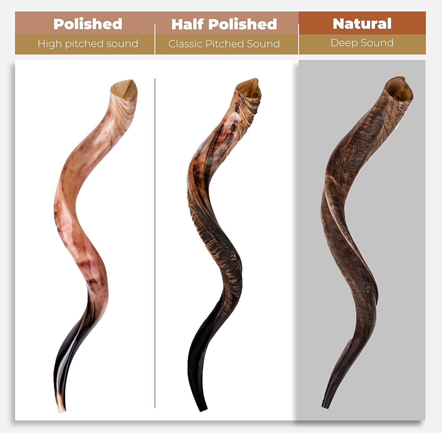 Multiple Yemenite shofarot displayed alongside their Greater Kudu horn source material
